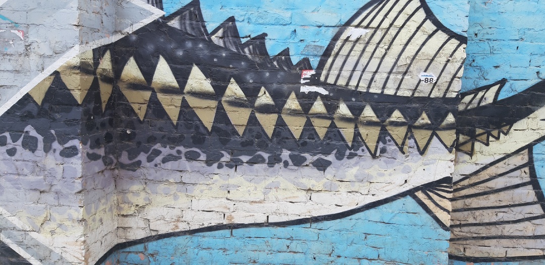 Зимние каникулы в Астрахани