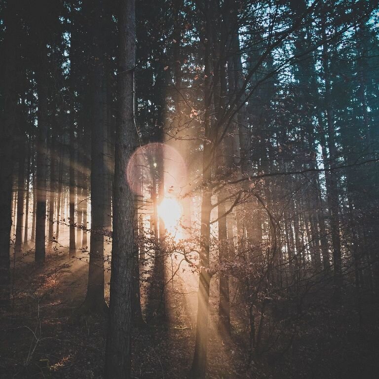 фото из интернета