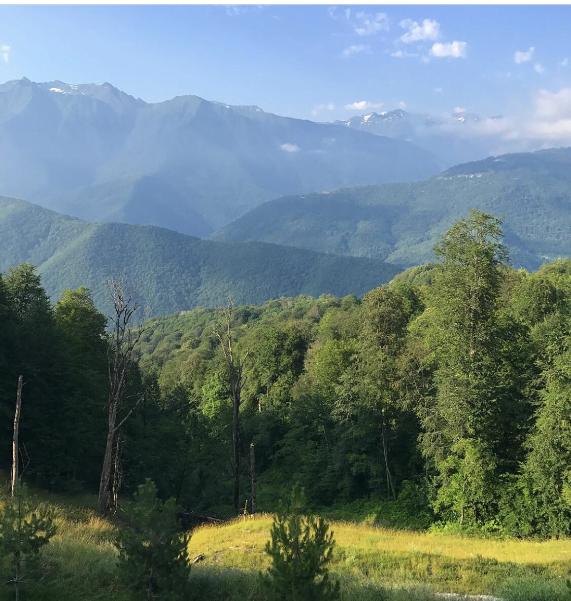 Krasnaya poyana Sochi 💚