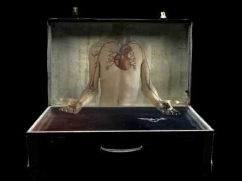 Яндекс картинки. Чемоданы Тульса Люпера