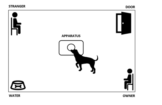 Biagio D’Aniello1 · Barbara Fierro1 · Anna Scandurra1 · Claudia Pinelli2 · Massimo Aria3 · Gün R. Semin