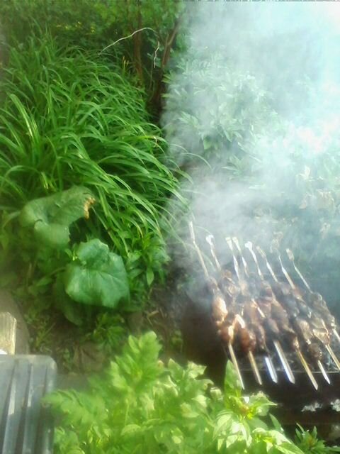 Нарушение правил приготовления шашлыка в полной красе. Так что ходите лучше голодными.