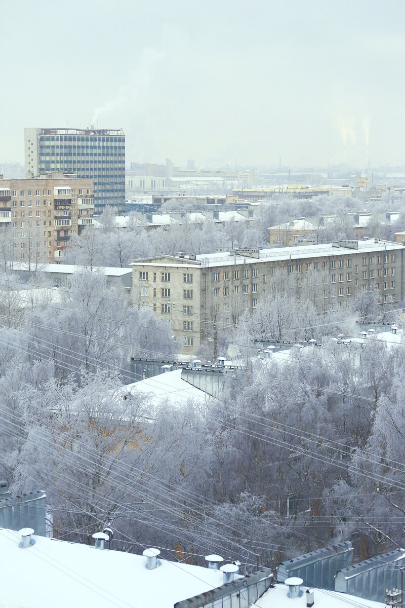Фото автора