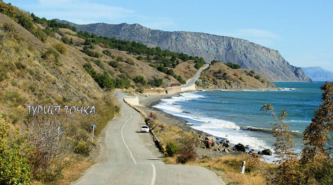 Алуштинская судак