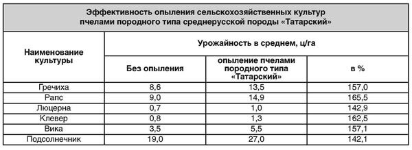 фото яндекс картинки