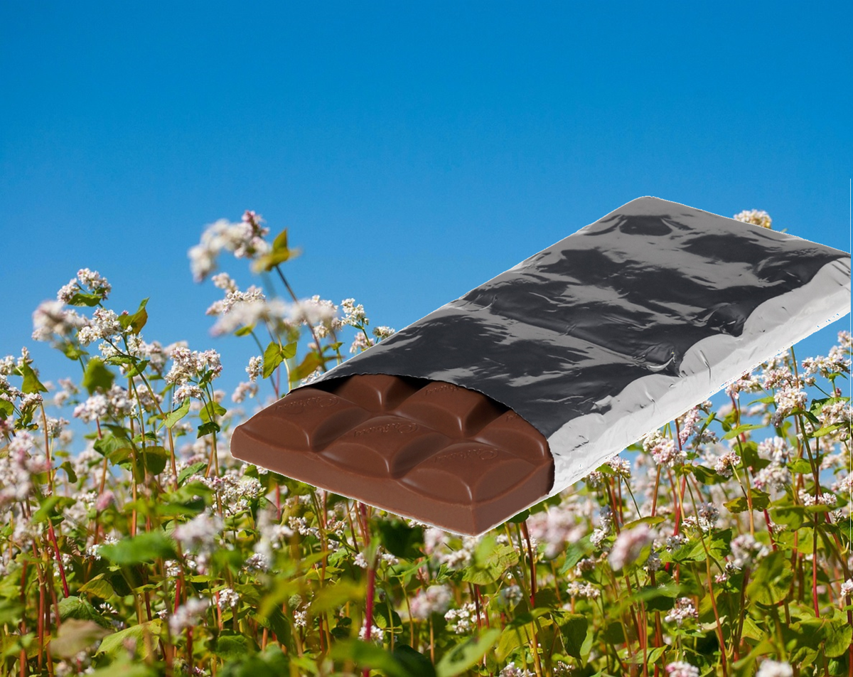 Коллаж на основе фотографий www.pixabay.com