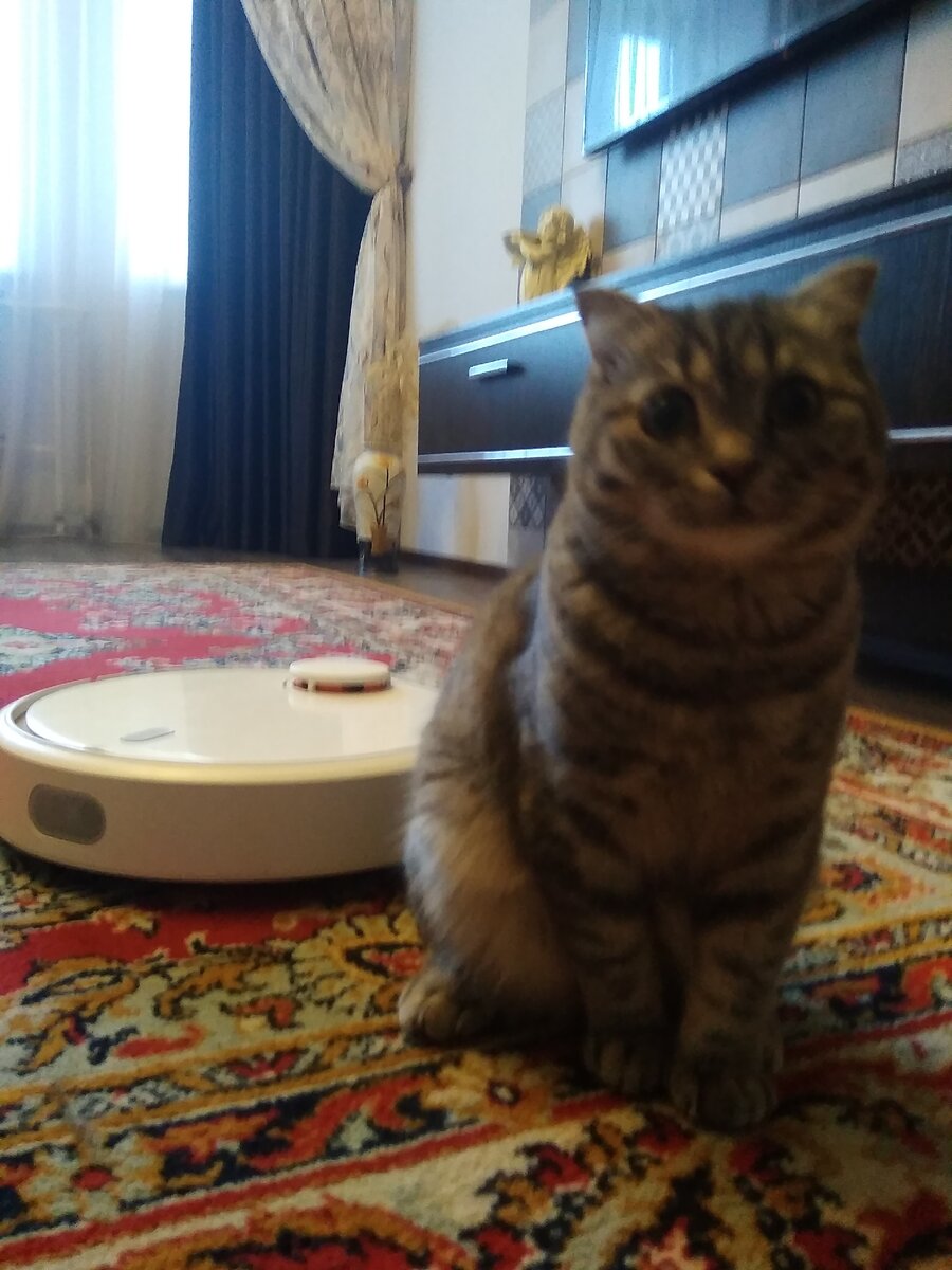 Робот пылесос Xiaomi Mi Robot Vacuum Cleaner 1S с Буськой