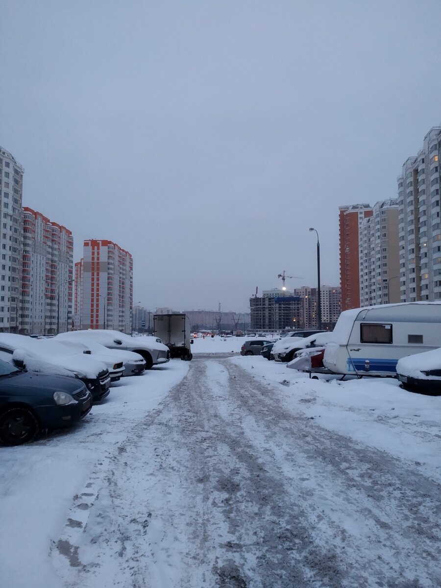 Заросли домов