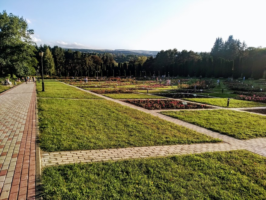 Долина Роз. Фото август 2020