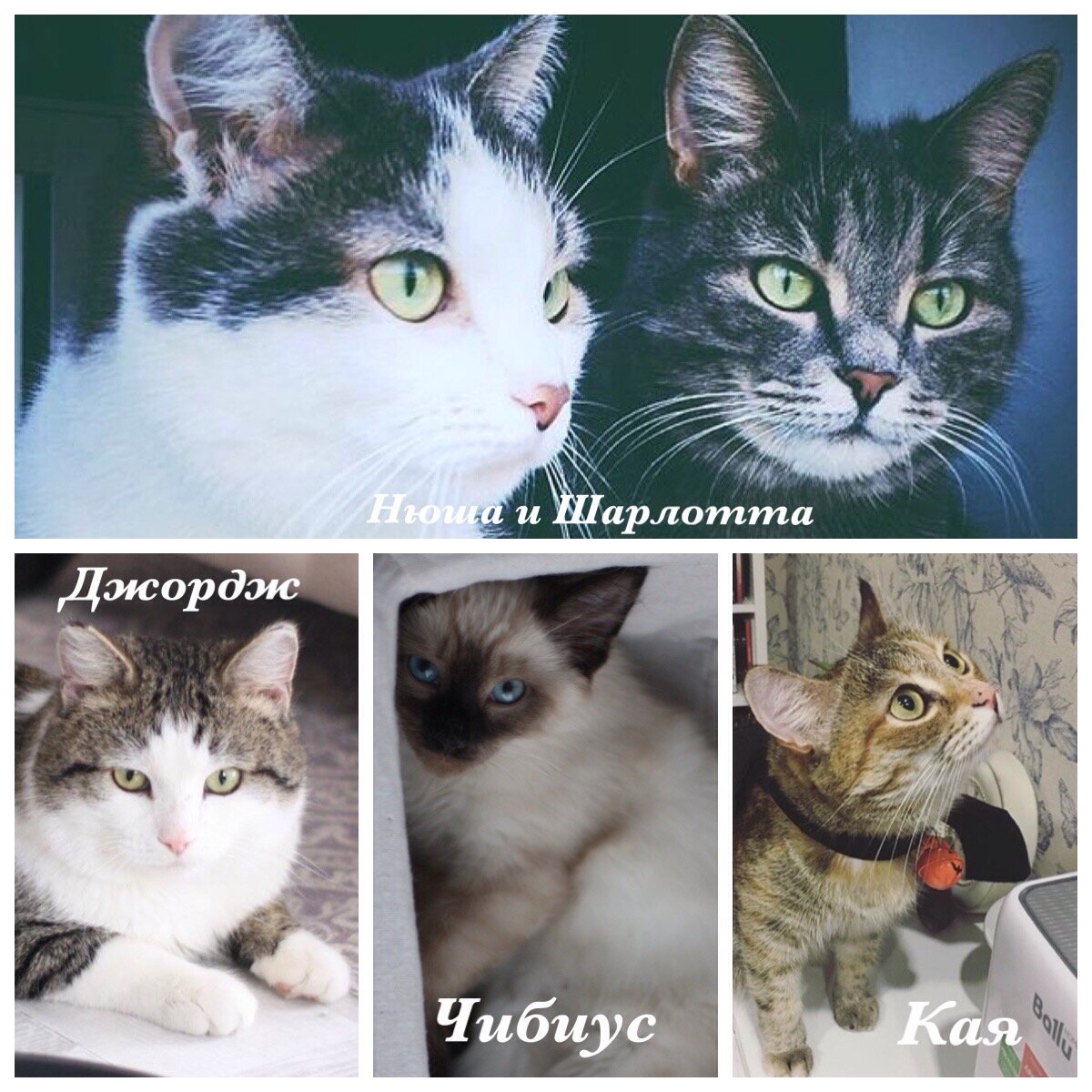 Фото автора статьи.