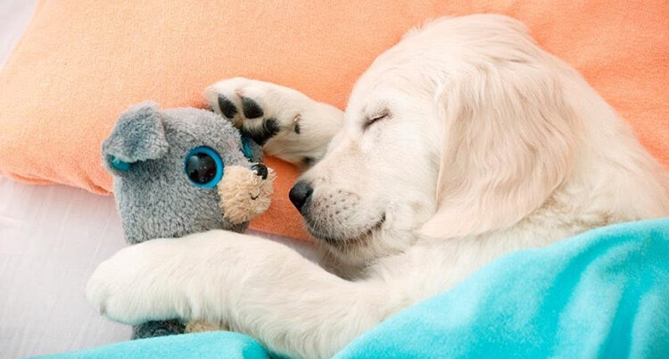 Взято с просторов интернета 