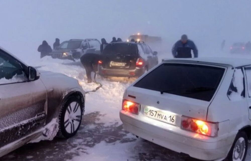 Фото взято из открытых источников