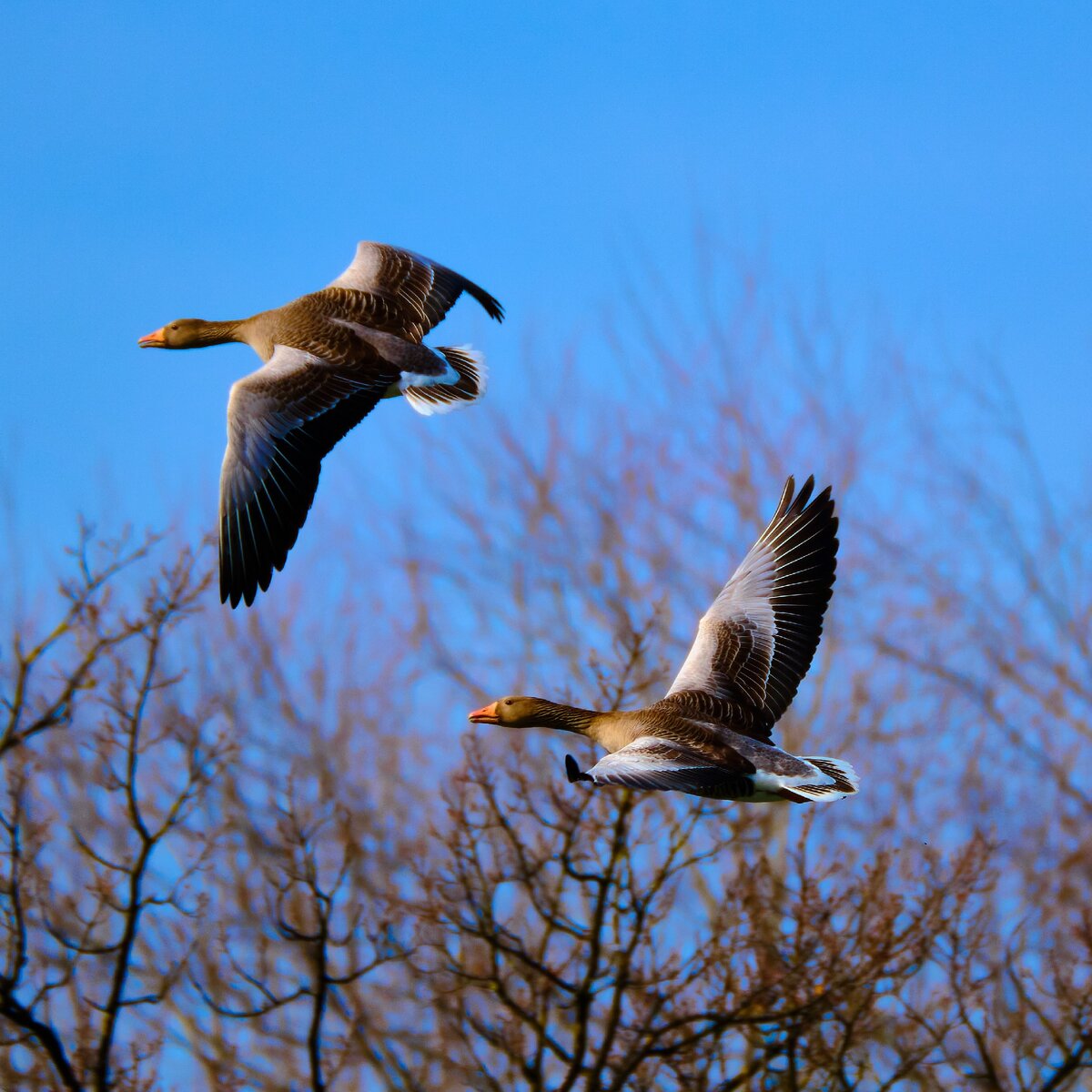 Photo by Marco Midmore on Unsplash