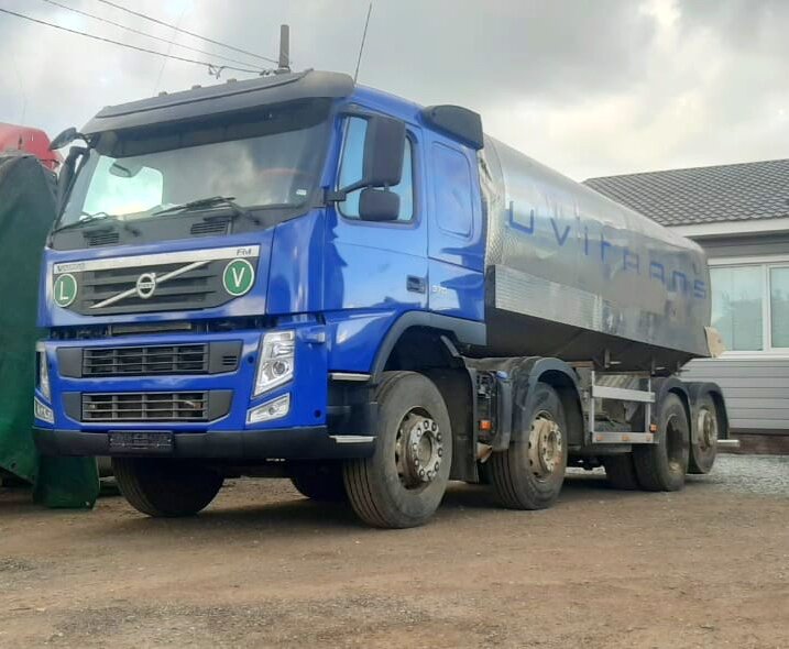 Таким красавцем он стал!