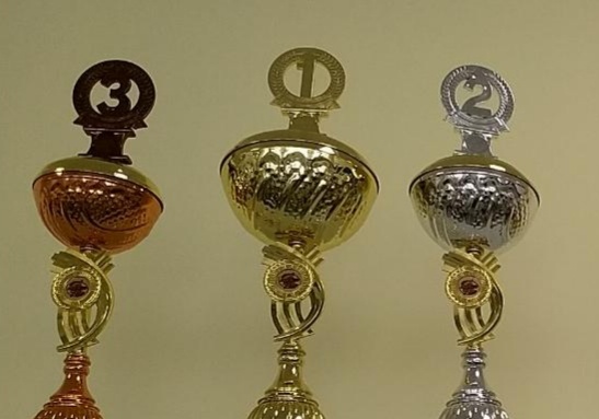 Кстати, на спартакиаде в честь 70-летия предприятии, на котором работаю уже 6 лет,  я достиг тоже отличных показателей. Мой кубок посередине,  и я стал абсолютным чемпионом. Маленькая победа, но она моя. 