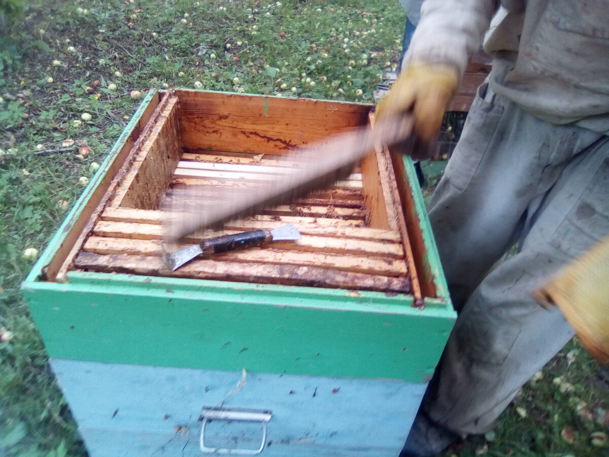 кладем рамки на обсушку