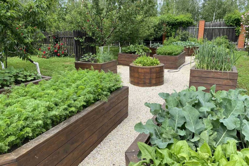 3 Reasons to Try Raised Bed Gardens This Year - Millcreek Garden Vegetable garde