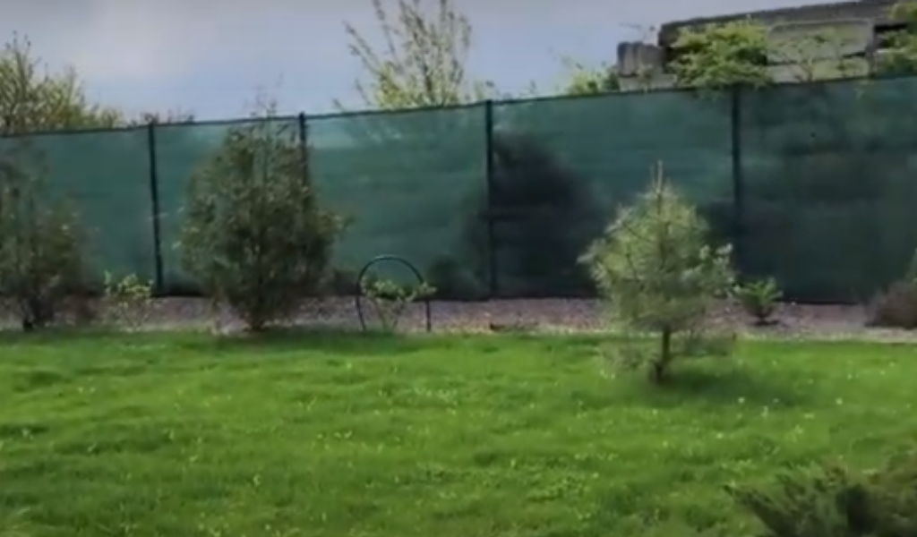 Листайте галерею