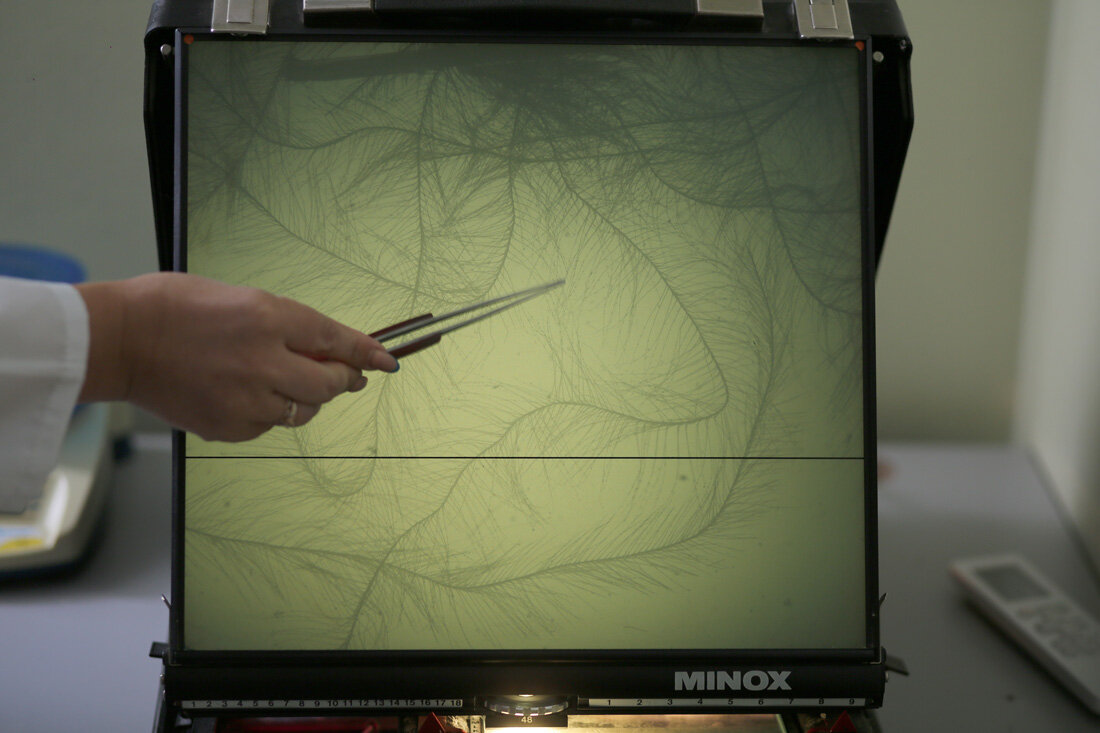 Смотрим, не затесался ли пух утки