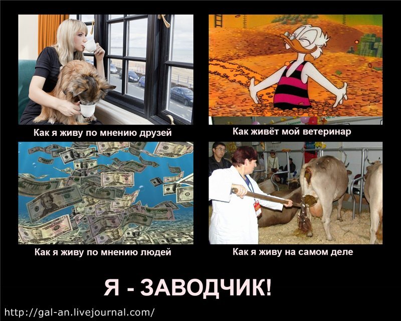 Коллаж автора