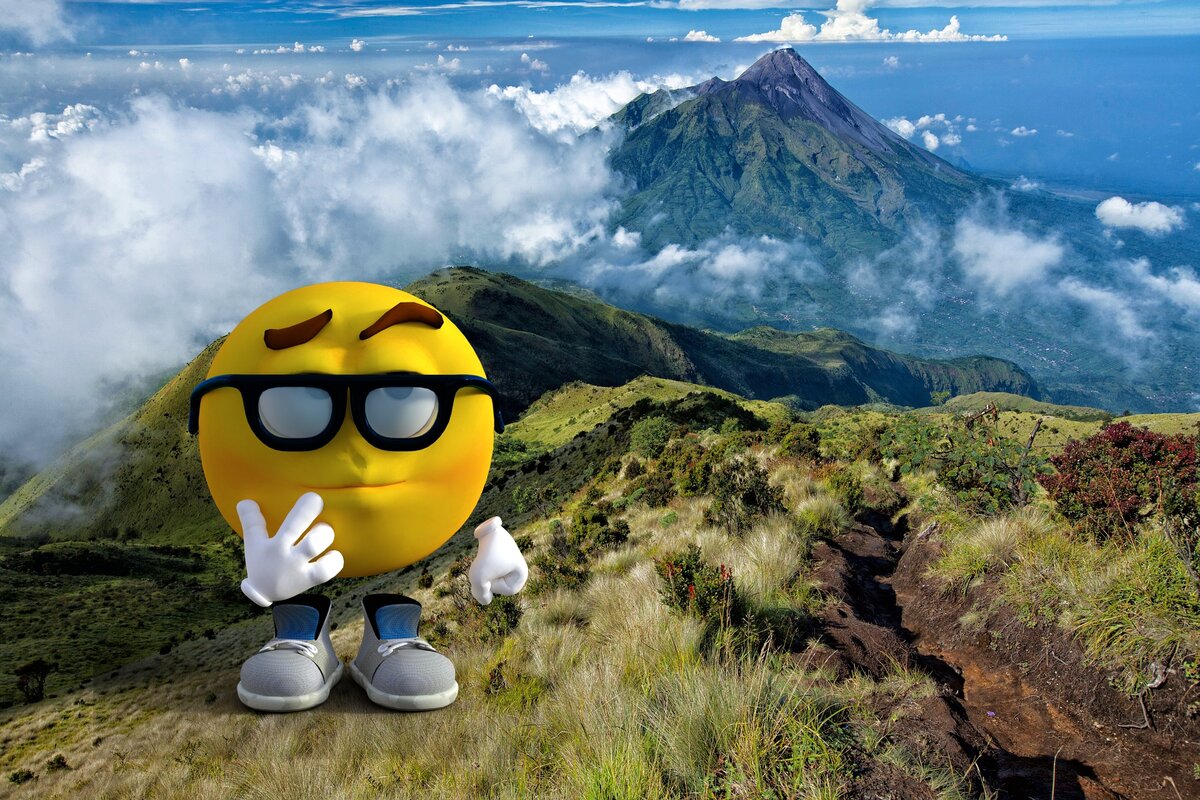 Изолированная горная страна с тропическим климатом - рай для энтомологов и клеща Варроа