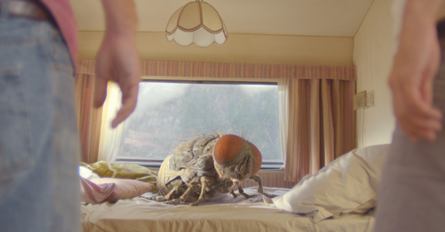 Кадр из фильма «Жвалы». Фото: www.kinopoisk.ru