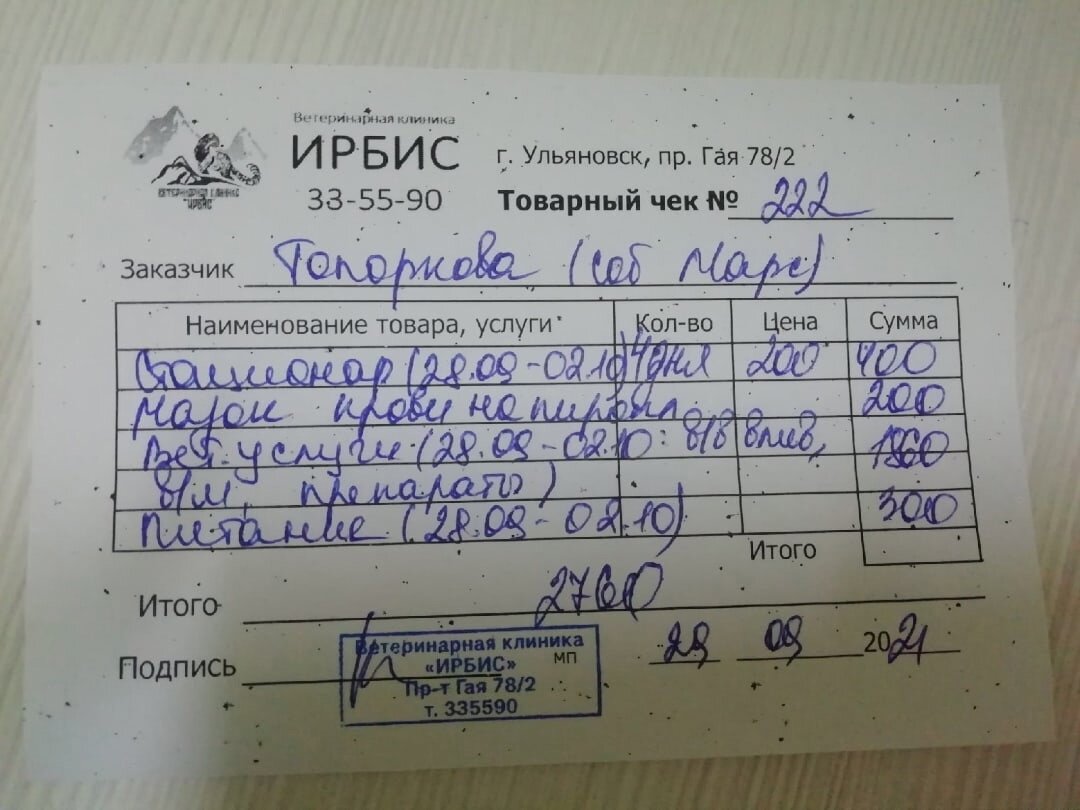 Малыш Марс заболел панкреатитом, но сейчас его жизни уже ничего не  угрожает. | Город преданных собак 73 | Дзен