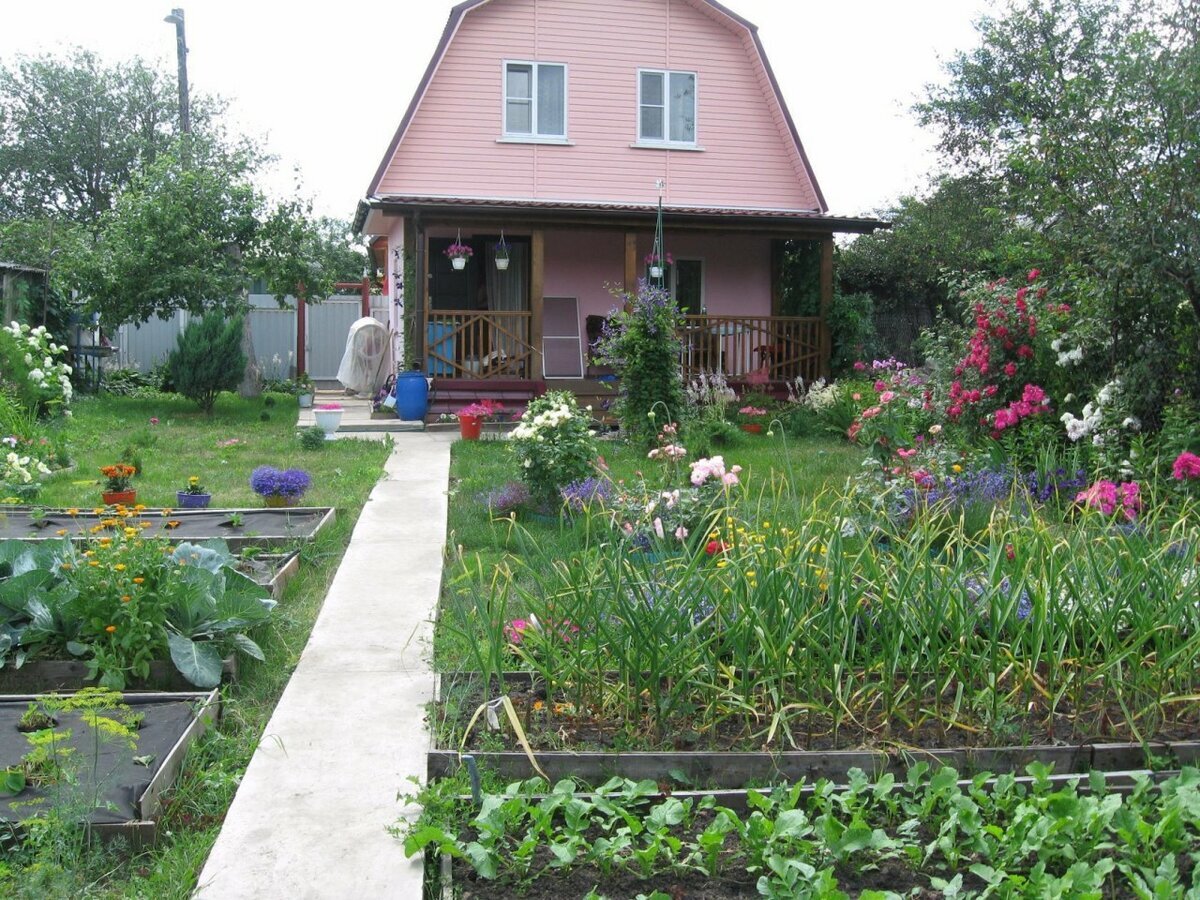 яндекс картинки.