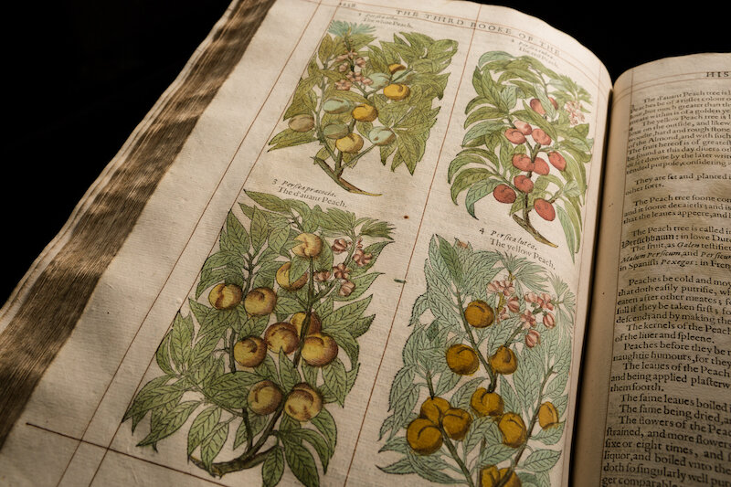 Фото galileo.ou.edu