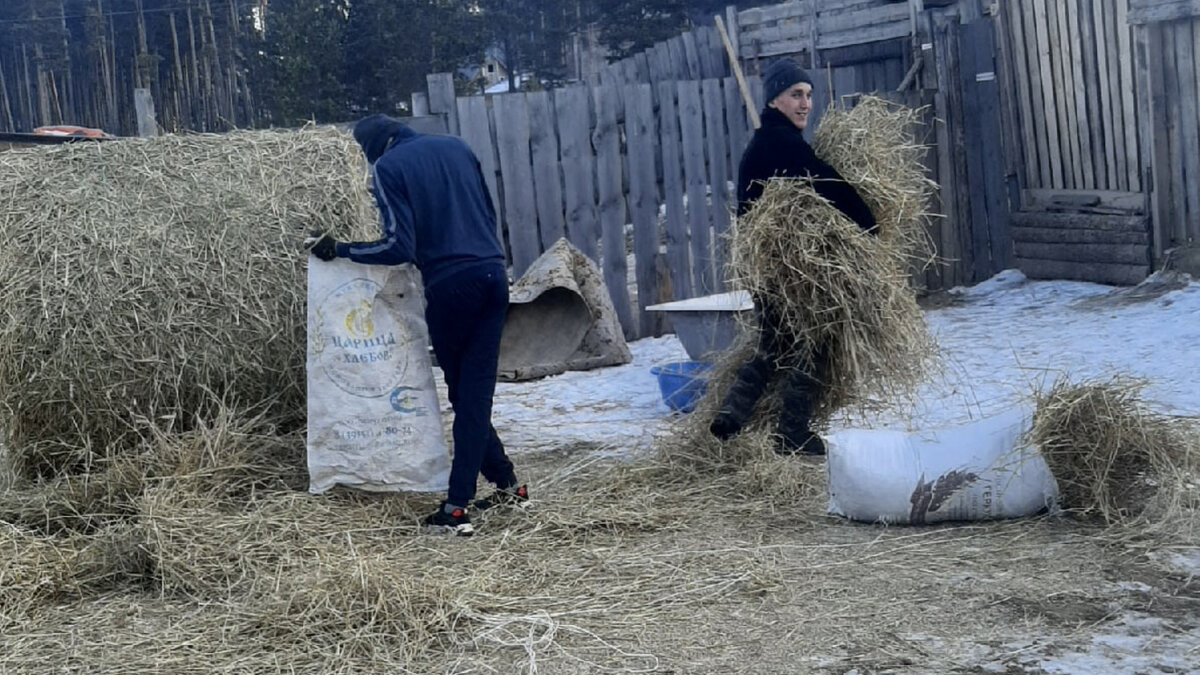 Студенты за работой