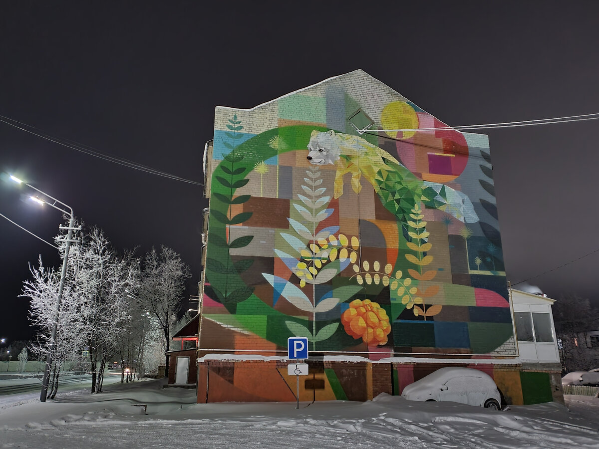 Город Тарко-Сале на Ямале. Ноябрь 2021 г.