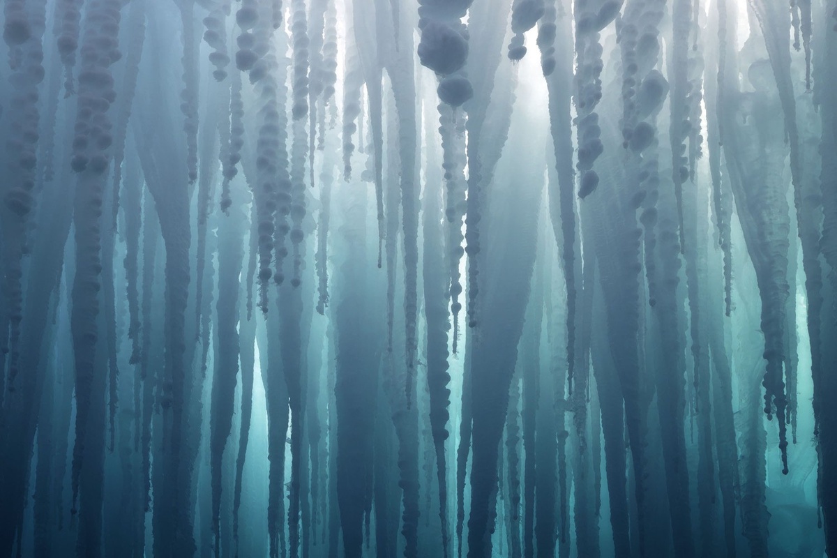 Eric Bennett / Natural Landscape Photography Awards. (https://naturallandscapeawards.com/) 