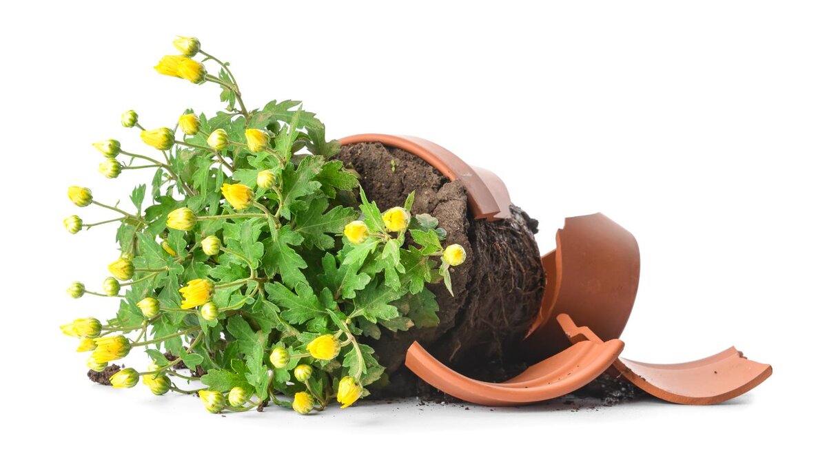 Простые приемы