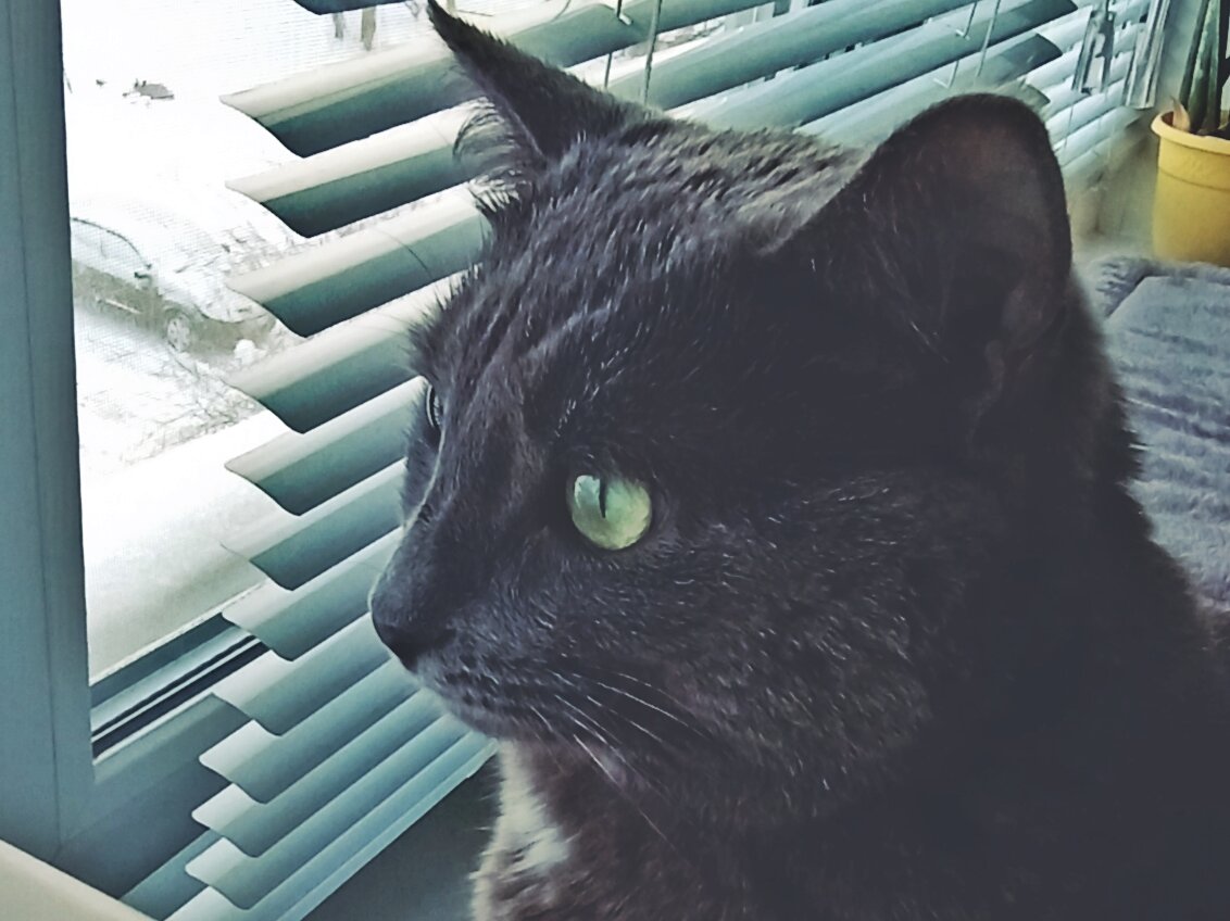 Так-так-так