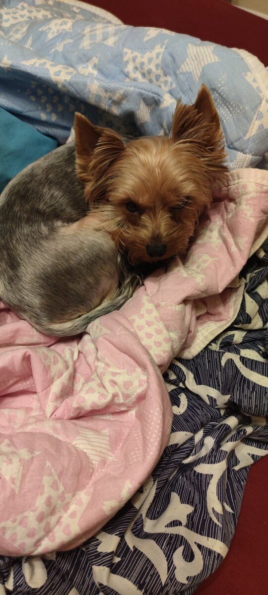 Гнездо птенчика. 