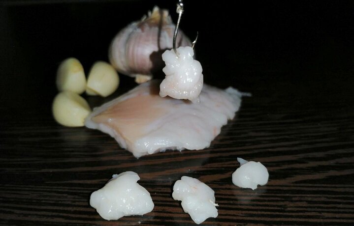 enciclopediya-geografa.ru