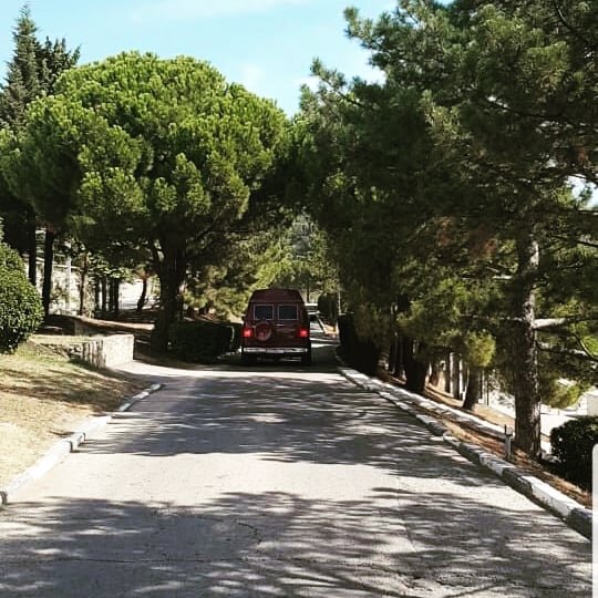 Утопая в зелени 