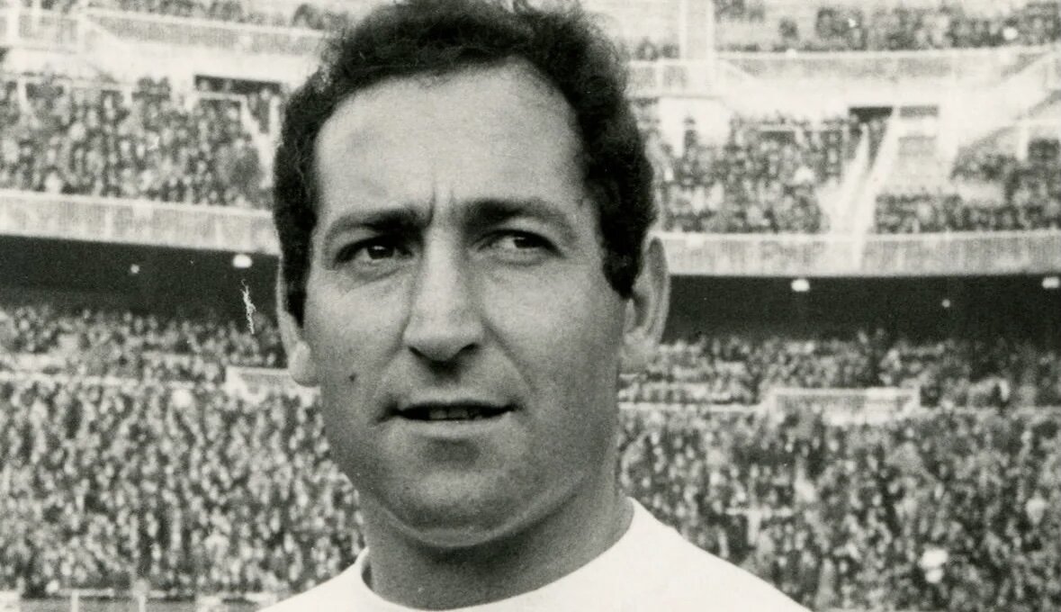 Фотография Яндекс. Картинки 