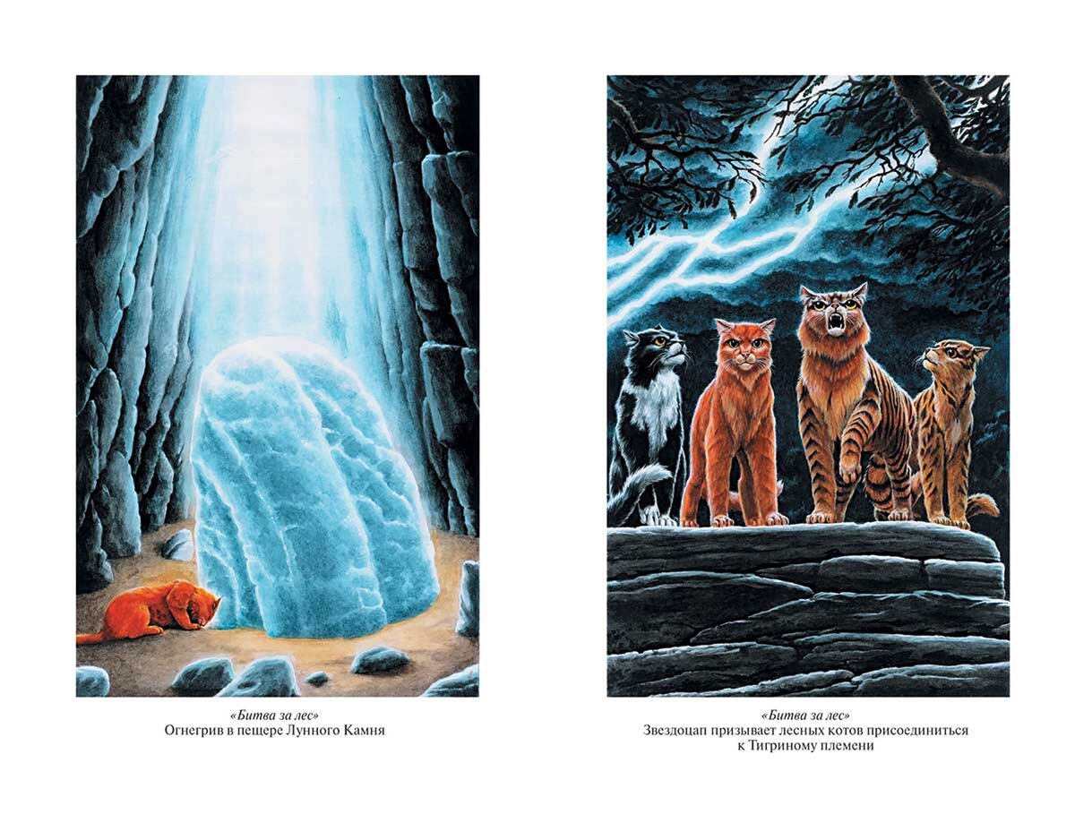 Огнегрив в пещере Лунного Камня; Звездоцап призывает лесных котов присоединиться к Тигриному племени