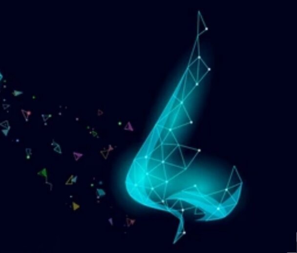 1.	1.	Длинный нос, опущенный вниз                                                                              Нос прямой, кончик опущен вниз, ощущение, что человек принюхивается. Люди с таким носом сексуально раскрепощены, любят плотские утехи. Вся жизнь проходит в поисках новых и новых спутников.
2.	Острый нос
Такой человек, не зависимо от пола, стремится быть лидером, несговорчив и напорист. Считает себя лучше других, к окружающим относится снисходительно, в суждениях проявляет резкость и категоричность. Близких друзей нет, предпочитает взаимовыгодное сотрудничество.
3.	Широкий нос
Человек верный и преданный семье, выполнение домашних дел – на первом месте. И мужчина, и женщина –эмоциональны, легки на подъем, любят путешествовать. Добры и обаятельны. 
4.	Нос уточкой
Всегда настроен оптимистично, не подвержен депрессиям. Развито чувство юмора, характерна мягкость, отходчивость, необходимость помогать людям. Легко справляются с ролью ведущих на мероприятиях, застольях.
5.	Нос пятачком
Короткий, вздернутый кончиком нос, так, что ноздри видны. Честный, простодушный, выносливый. Деньги у таких людей не задерживаются, попадают в различные финансовые ловушки, проматывают огромные состояния. В семье постоянное состояние развода: то буря, то штиль. 
6.	Римский нос
Этакий с легкой горбинкой нос. Как правило амбициозны и упрямы. Имеют влияние управлять людьми. В общении с ними всегда нужно быть настороже, не спешите соглашаться с ними, как бы убедительны они не были, часто ими управляет азарт победы, а не здравый смысл.
7.	Нос пуговка
Самая милая и симпатичная форма носа. Женщины, как правило, одарены богатым воображением. Любящие, заботливые, но есть нюанс: эмоционально не стабильны, более сильные личности могут их подавлять.
8.	Небесный нос
Самый привлекательный тип носа. Такие люди имеют огромное желание жить, к чему-то стремиться, добиваться. Отличные, верные друзья, готовые взять на себя все удары судьбы. В постели любят эксперименты, игры.
9.	Прямой нос
Люди нежные, чувственные, любят много трудиться, в то же непостоянны, постоянно стремятся к недостижимому.
10.	Крупный мясистый нос
Обладатели такого носа очень быстры во всём. Быстро думают, а действуют ещё быстрее. Порой окружающим кажется, что они слишком агрессивны. Ко вторым половинкам относятся с заботой, очень чуткие и внимательные.
