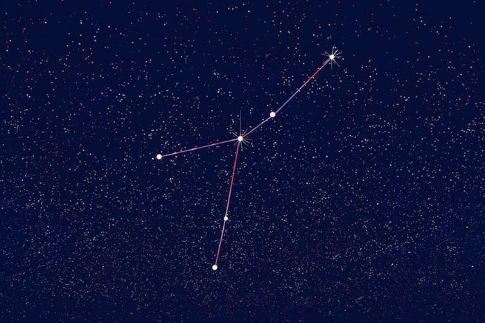 Созвездие Рака