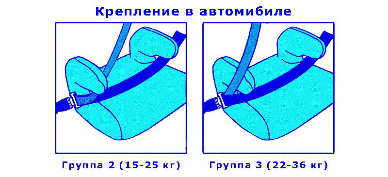 Со скольки лет можно ездить без кресла