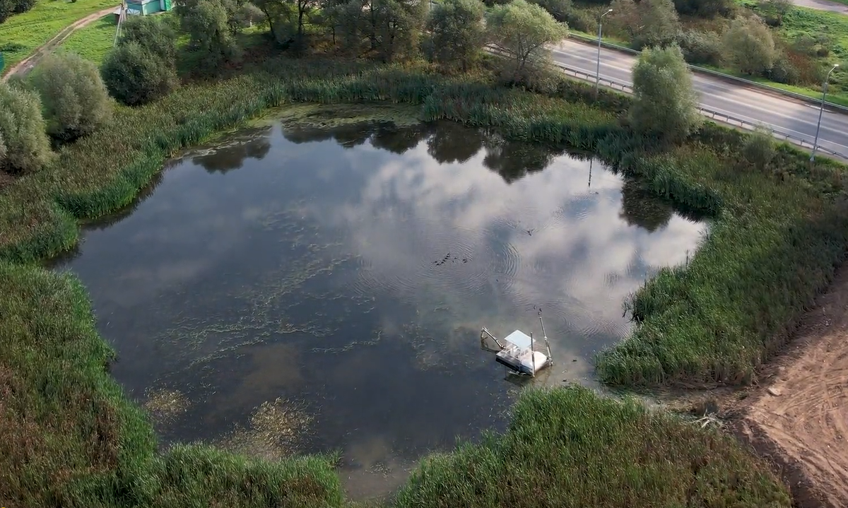 Пруд до начала очистки