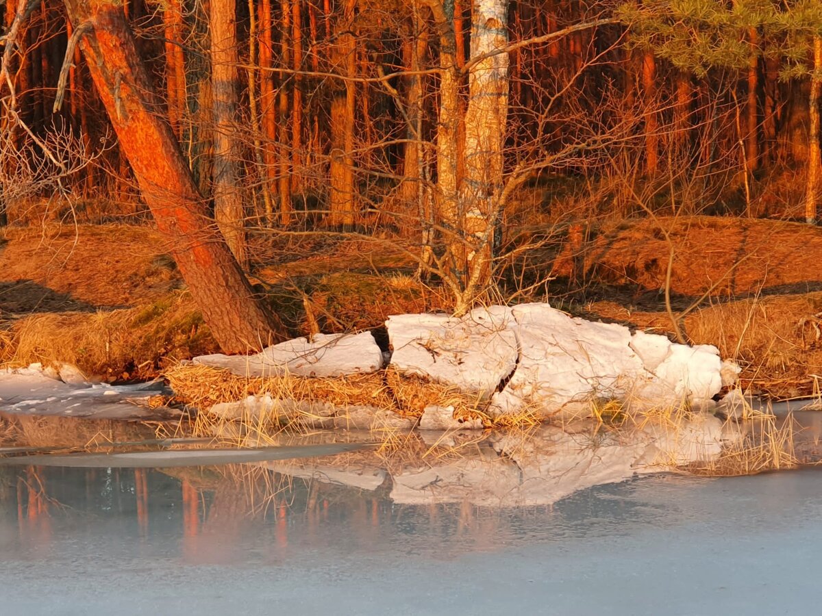 Собственные фотографии
