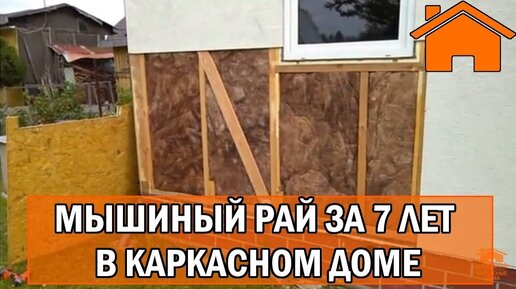 下载视频: Kd.i: Мышиный рай за 7лет в каркасном доме. Слабонервным не смотреть.