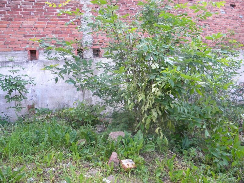 Видите кота? А он там есть! А вот дословного перевода (перевода каждого слова в предложении) нет. Вообще нет. Как ложки.
