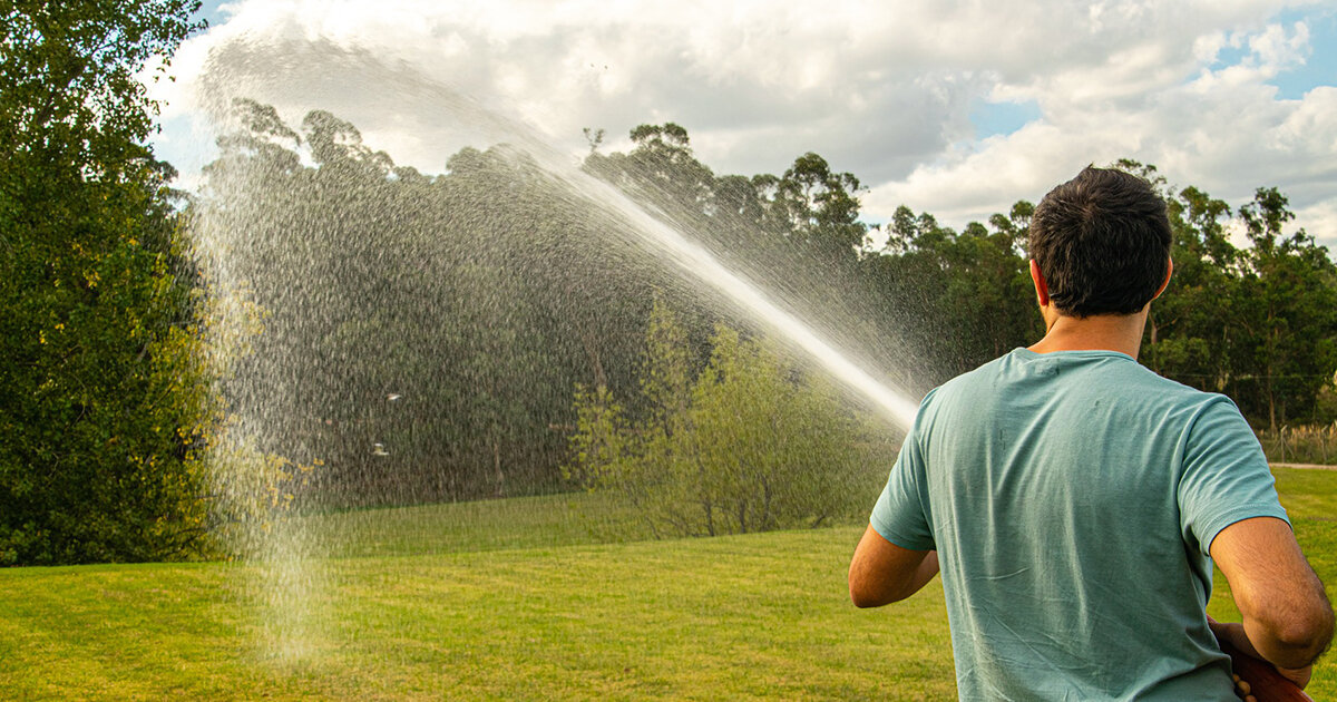 Полив газона