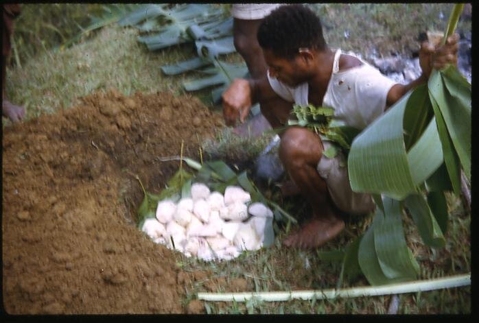 Мужчина по имени Муму из деревни Тифальмин (западная Папуа-Новая Гвинея на границе с Индонезией) наполняет вырытую на улице яму, выстланную пальмовыми листьями, клубнями таро. Яма используется для хранения продуктов. Фото сделано 22 января 1964 года консерватором Британского музея Дэвидом Джоном Ли. 
