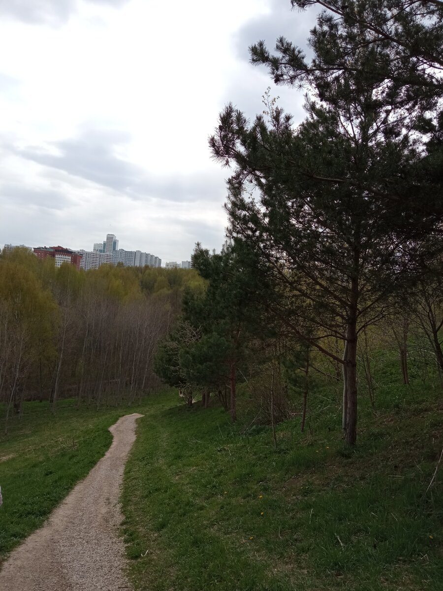 Парки Москвы. Парк Крылатские холмы весной. | Цветник для начинающих | Дзен