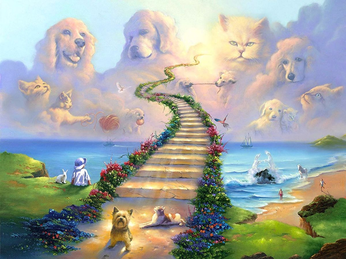 "Мост радуги". Картина Джима Уоррена. 